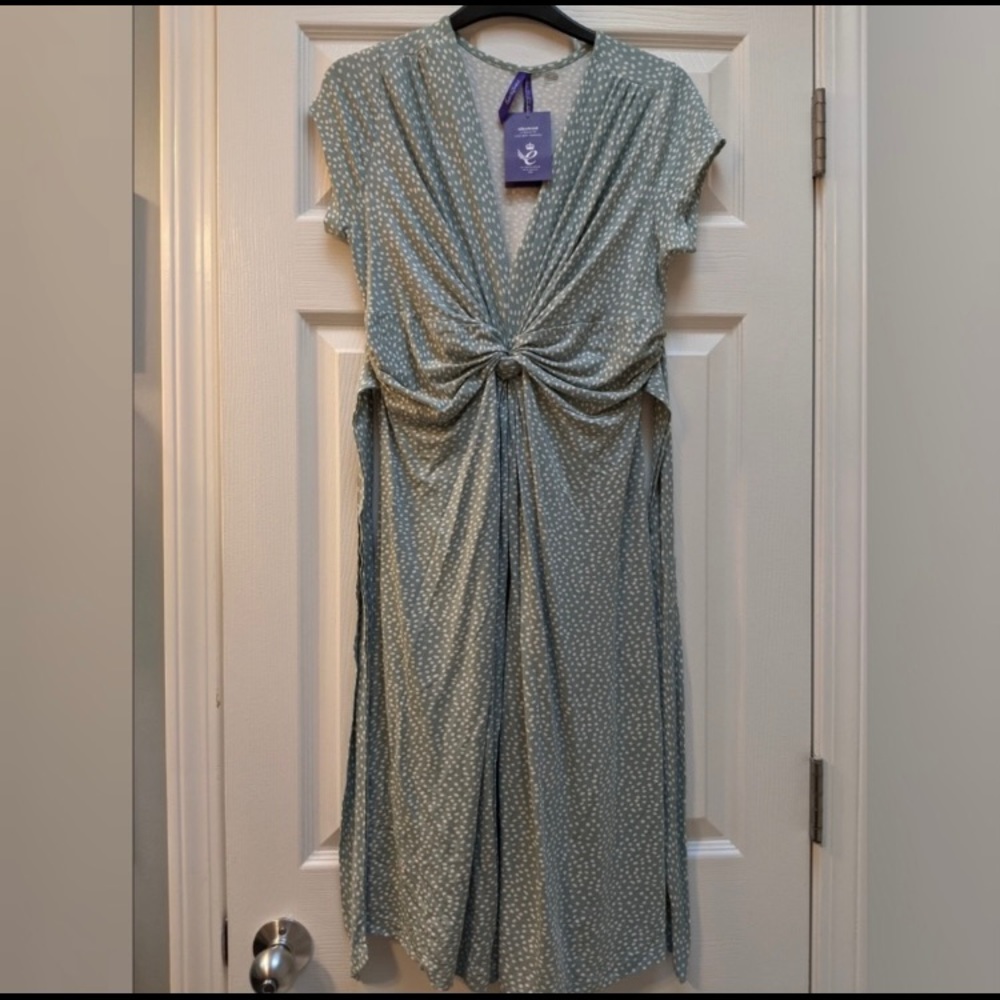 Seraphine Maternity Dress